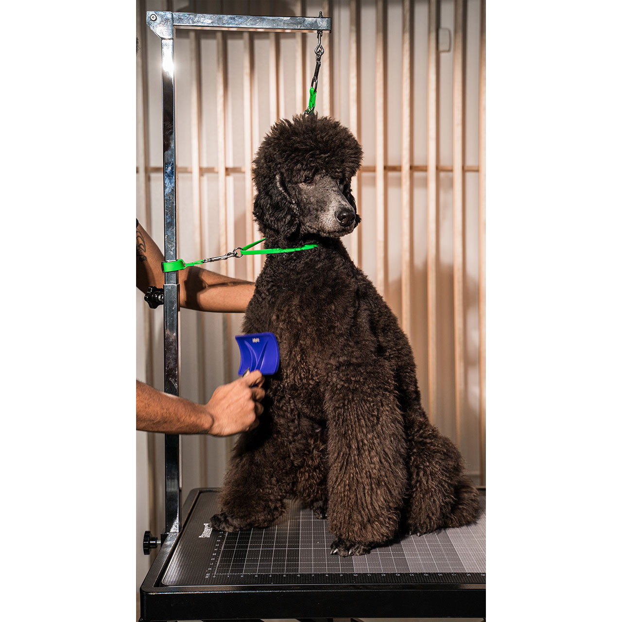 Grooming Tether Jelly Pet Grooming Loop Extender