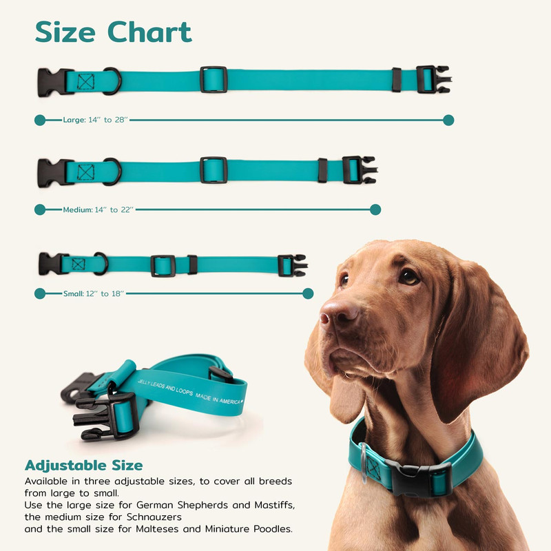 dog collar medium size