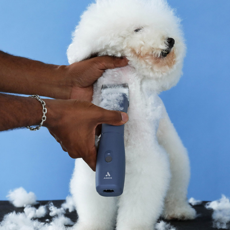 Andis pro clippers for clearance dogs