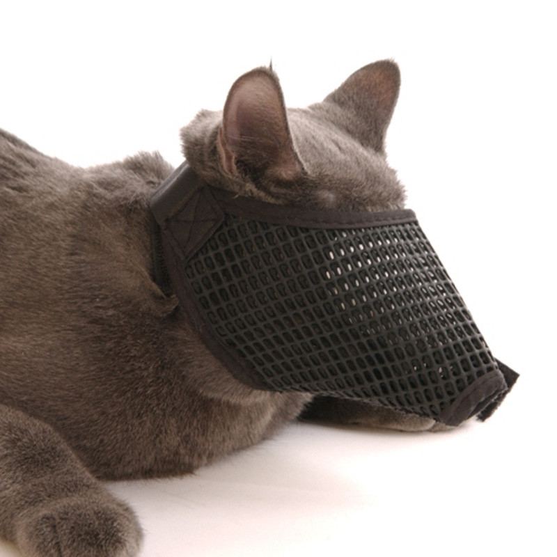 kitty muzzle