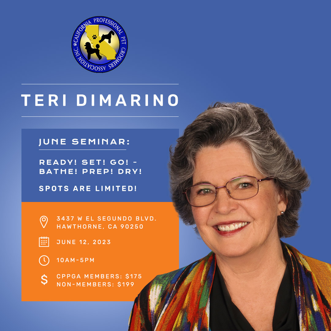 gp-social-juneseminar-teridimarino.jpg