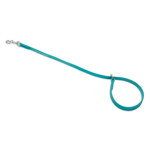 Jelly Pet Grooming Loop Slip/Choker Style | Mold-Resistant