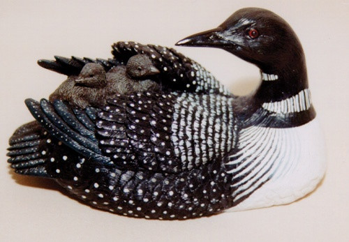 Common Loon