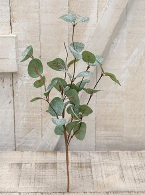 Floral
Eucalyptus
Pick
