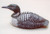 Common Loon