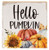 Fall
Pumpkin