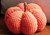 Fall
Pumpkin