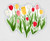 Tulips
Sticker
