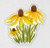 Coneflower
Black-Eyed Susan
Sticker