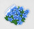 Forget-Me-Not Flowers
Sticker