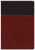 NIV Brown Lg Print Study Bible