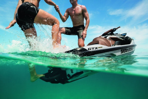 REBOARDING LADDER (295100869)