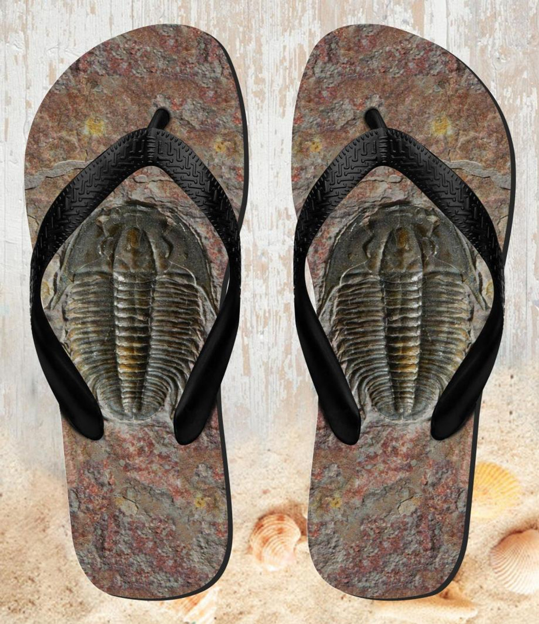 fossil flip flops
