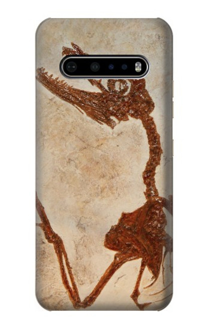 S0379 Dinosaur Fossil Case For LG V60 ThinQ 5G