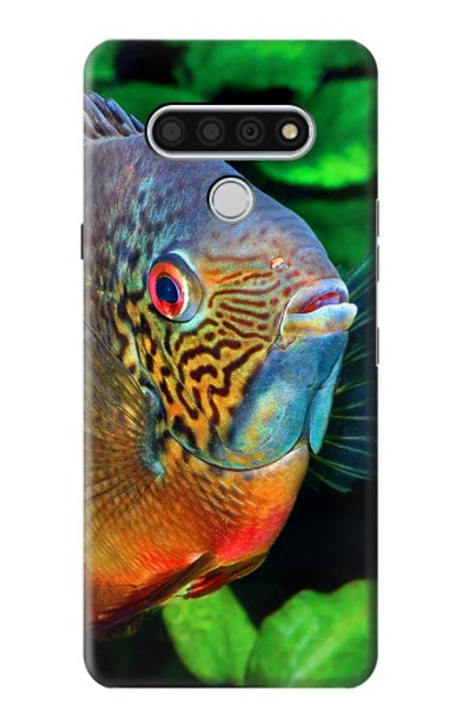 S1812 Cichlid Fish Case For LG Stylo 6