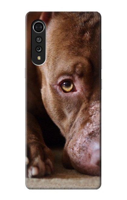 S0519 PitBull Face Case For LG Velvet