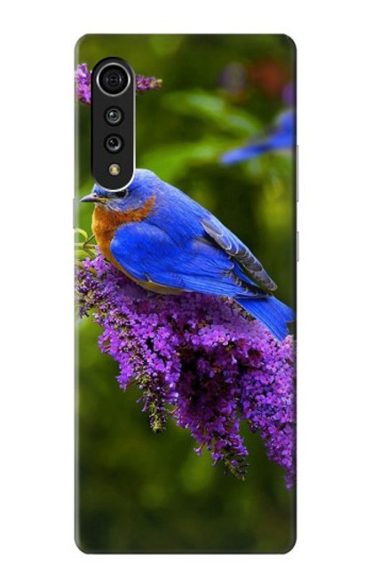 S1565 Bluebird of Happiness Blue Bird Case For LG Velvet