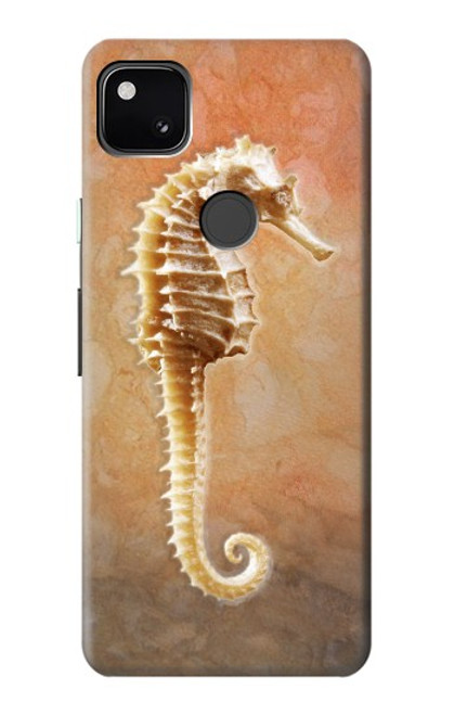S2674 Seahorse Skeleton Fossil Case For Google Pixel 4a