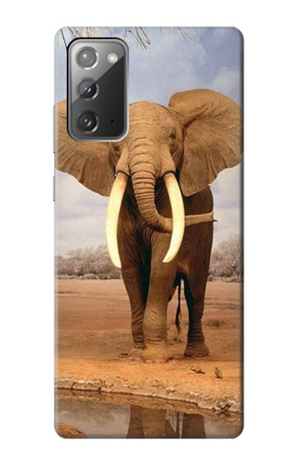 S0310 African Elephant Case For Samsung Galaxy Note 20