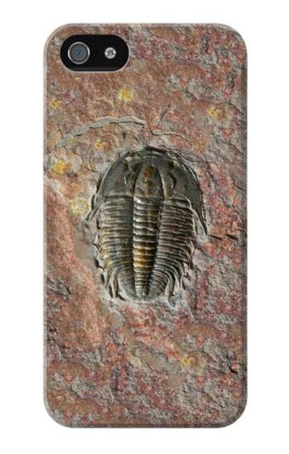 S1454 Trilobite Fossil Case Cover For IPHONE 5 5s SE
