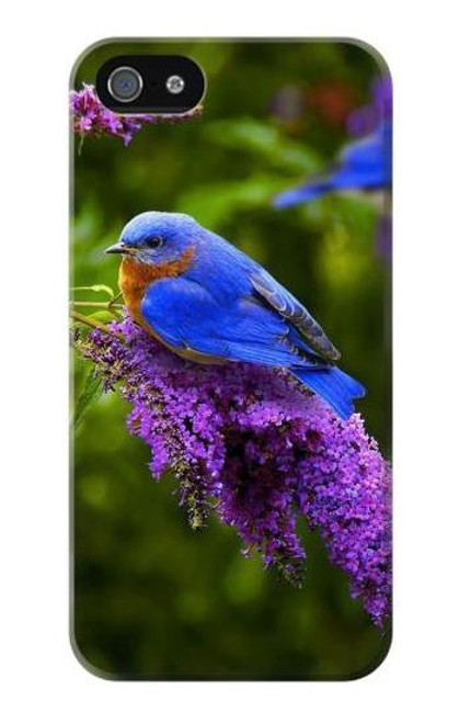 S1565 Bluebird of Happiness Blue Bird Case Cover For IPHONE 5 5s SE