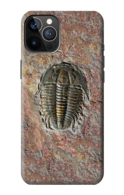 S1454 Trilobite Fossil Case For iPhone 12, iPhone 12 Pro