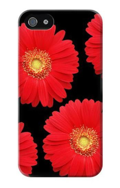 S2478 Red Daisy flower Case For IPHONE 5 5s SE