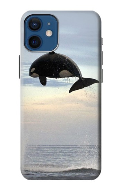 S1349 Killer whale Orca Case For iPhone 12 mini