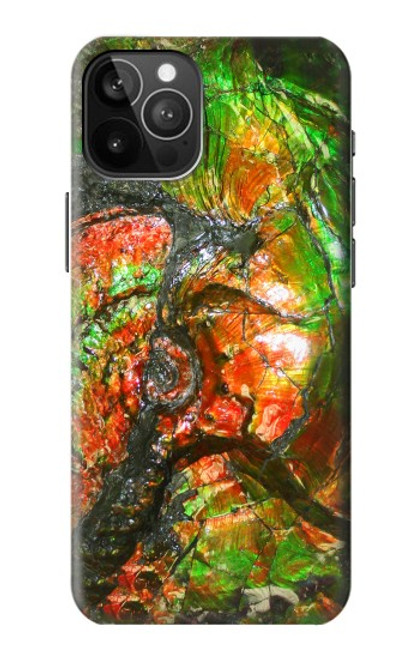 S2694 Ammonite Fossil Case For iPhone 12 Pro Max