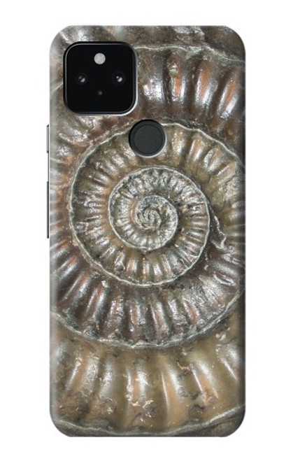 S1788 Ammonite Fossil Case For Google Pixel 5