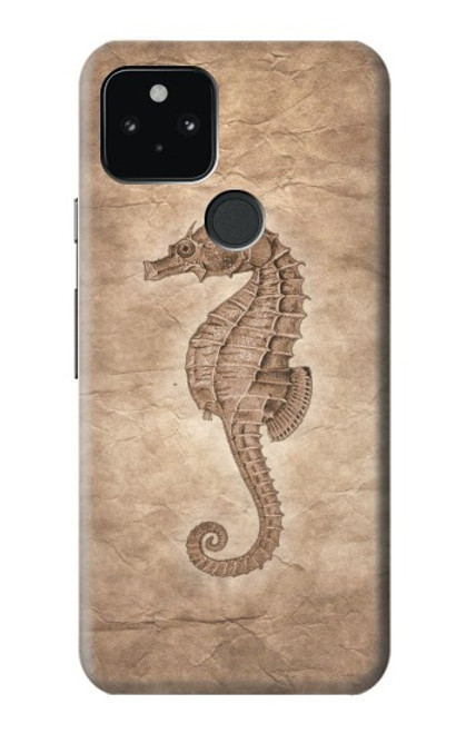 S3214 Seahorse Skeleton Fossil Case For Google Pixel 5