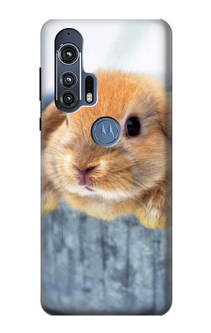 S0242 Cute Rabbit Case For Motorola Edge+