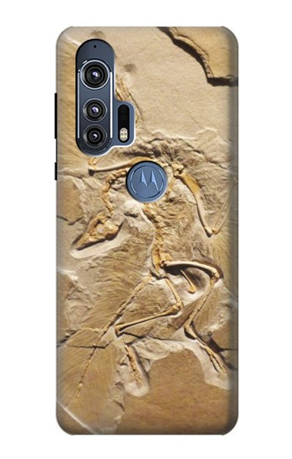 S0380 Dinosaur Fossil Case For Motorola Edge+