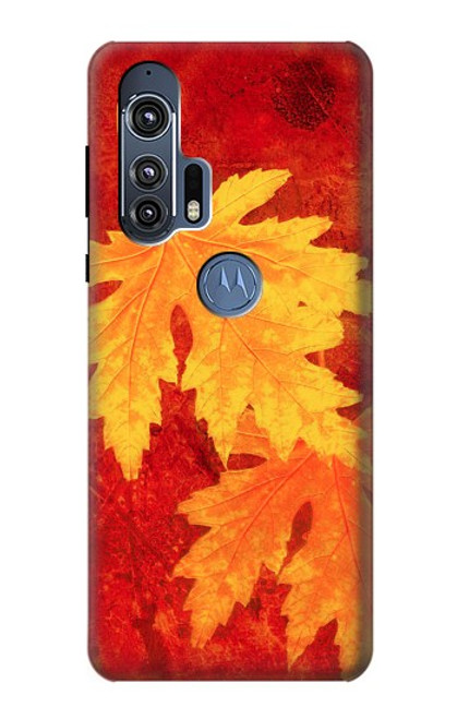 S0479 Maple Leaf Case For Motorola Edge+