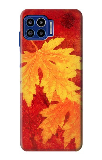 S0479 Maple Leaf Case For Motorola One 5G