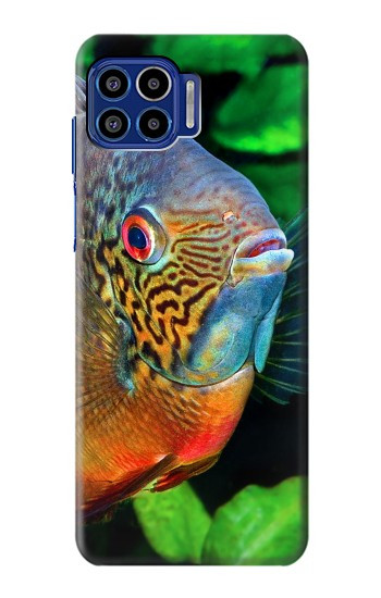 S1812 Cichlid Fish Case For Motorola One 5G