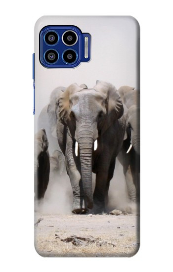 S3142 African Elephant Case For Motorola One 5G