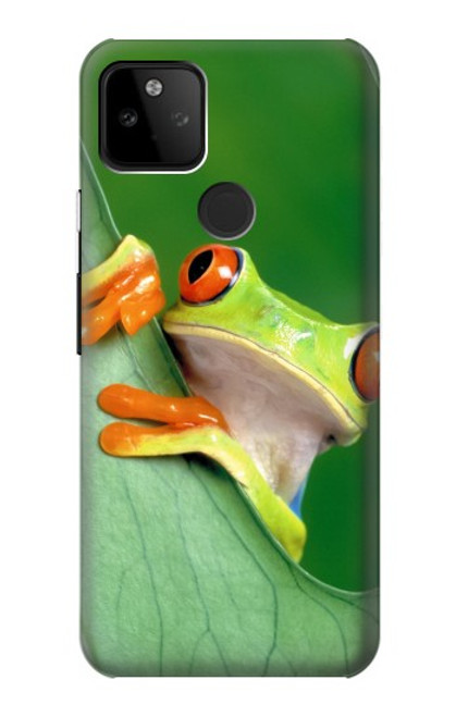 S1047 Little Frog Case For Google Pixel 5A 5G