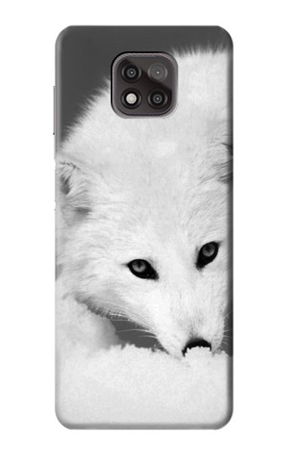 S2569 White Arctic Fox Case For Motorola Moto G Power (2021)