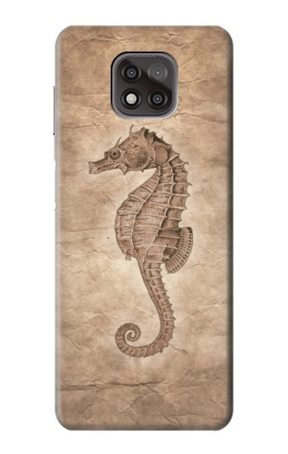 S3214 Seahorse Skeleton Fossil Case For Motorola Moto G Power (2021)