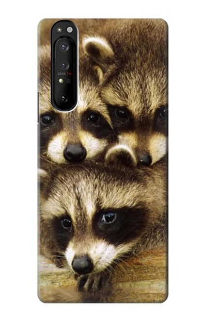 S0977 Baby Raccoons Case For Sony Xperia 1 III