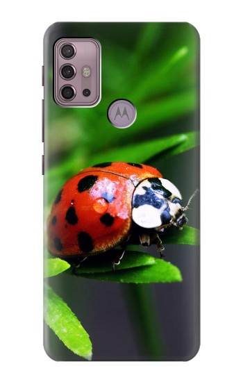 S0263 Ladybug Case For Motorola Moto G30, G20, G10