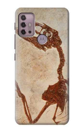 S0379 Dinosaur Fossil Case For Motorola Moto G30, G20, G10