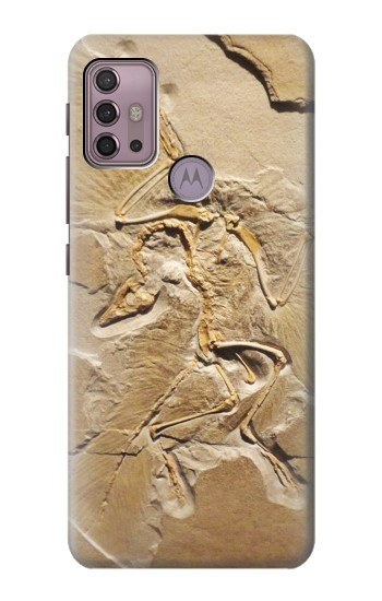 S0380 Dinosaur Fossil Case For Motorola Moto G30, G20, G10