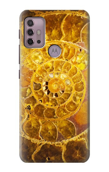 S1789 Ammonite Fossils Case For Motorola Moto G30, G20, G10