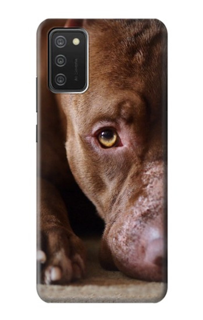 S0519 PitBull Face Case For Samsung Galaxy A03S S0519 PitBull Face Case For Samsung Galaxy A03S
