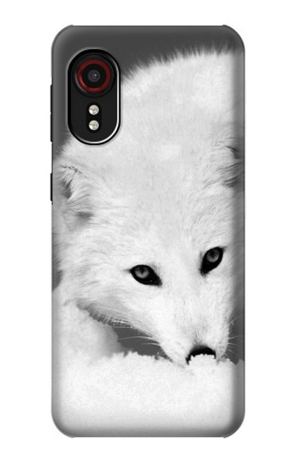 S2569 White Arctic Fox Case For Samsung Galaxy Xcover 5