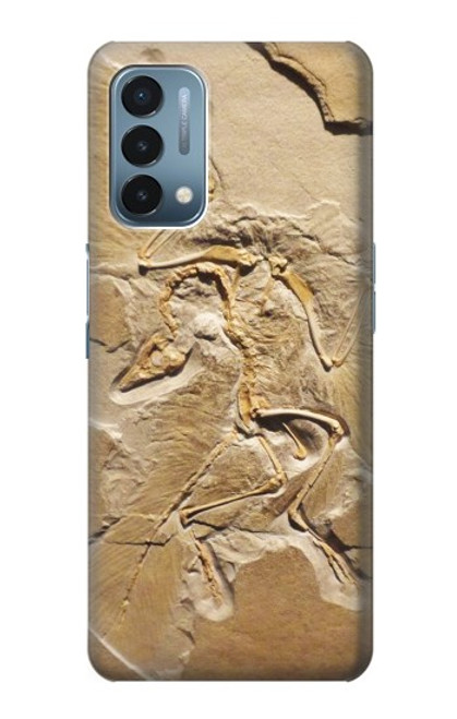 S0380 Dinosaur Fossil Case For OnePlus Nord N200 5G