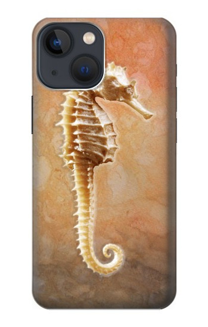 S2674 Seahorse Skeleton Fossil Case For iPhone 13 mini