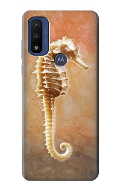 S2674 Seahorse Skeleton Fossil Case For Motorola G Pure